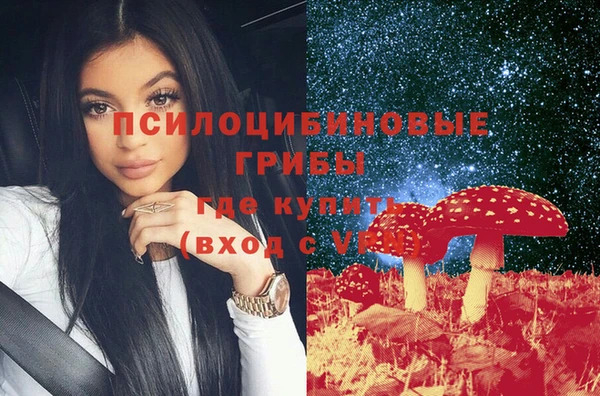 шишки Рославль