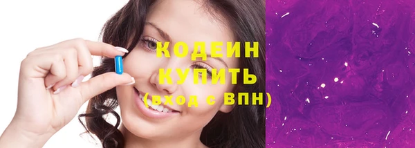 шишки Рославль