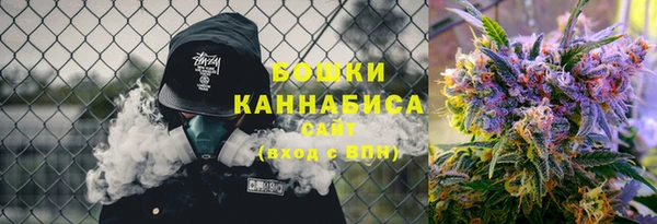 шишки Рославль